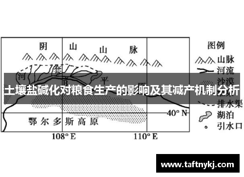 土壤盐碱化对粮食生产的影响及其减产机制分析