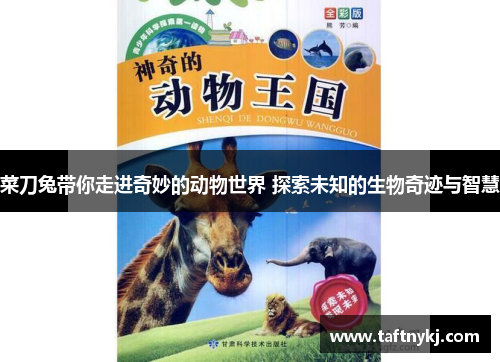 菜刀兔带你走进奇妙的动物世界 探索未知的生物奇迹与智慧