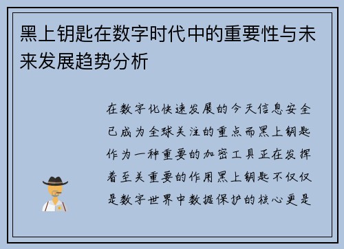 黑上钥匙在数字时代中的重要性与未来发展趋势分析 黑上钥匙在数字时代中的重要性与未来发展趋势分析